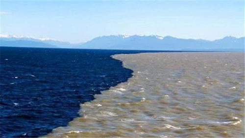 为什么太平洋和大西洋的海水彼此不会融合,真相其实很