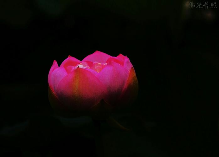 佛光普照
