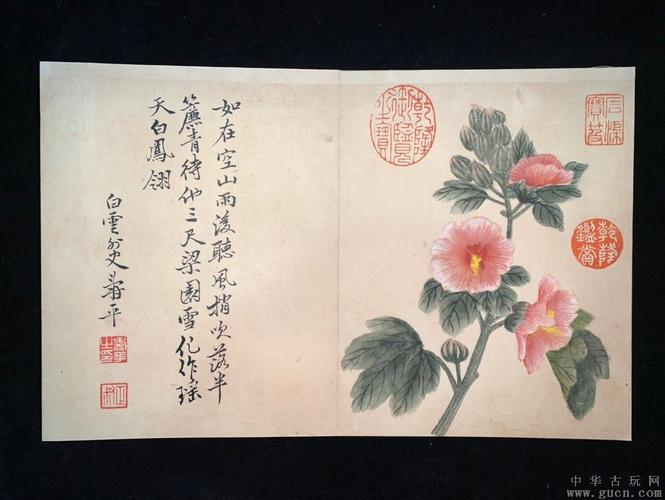 恽寿平花卉册页