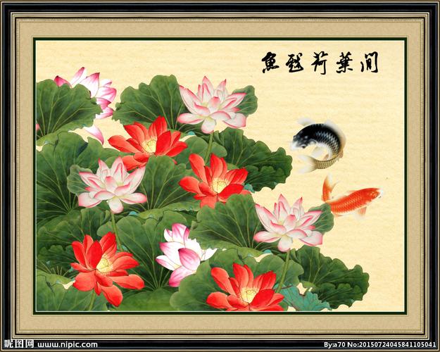 双鱼荷花图图片