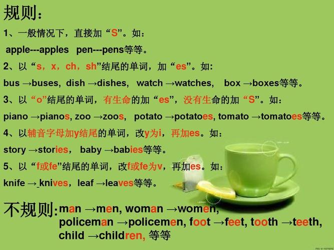 六年级名词变复数复习