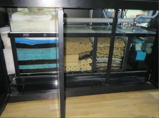 【图解】鱼缸过滤系统&滤材摆放怎么弄?