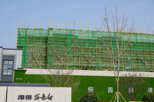 海信岱岳府相册