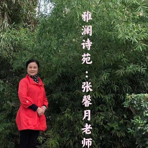 雅澜诗苑主播——馨月老师