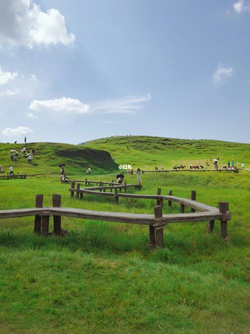 仰天湖草原风景区_草原_旅行地_动漫_夏天去哪玩_宫崎骏_发现宝藏旅行