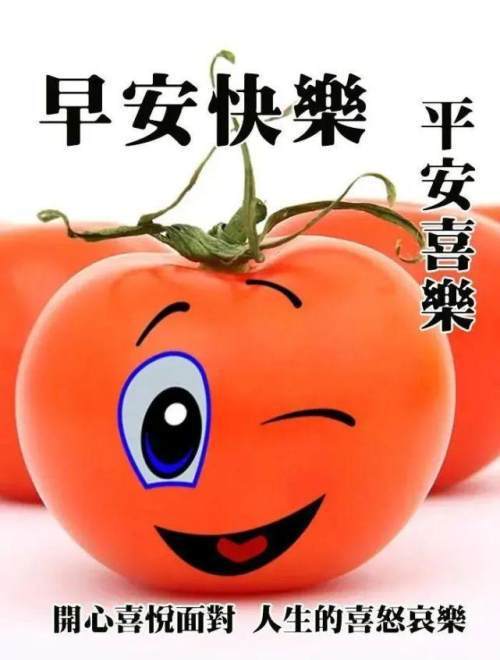 朋友圈温暖人心的早晨好问候语微信最火的早上好问候语图片合集