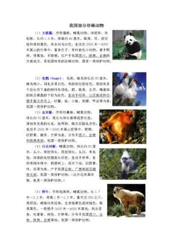 我国部分珍稀动物.doc 3页