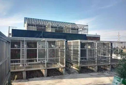 鸽友新鸽舍全景图美轮美奂!