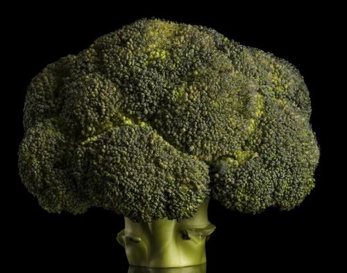 西兰花保鲜第7天的照片