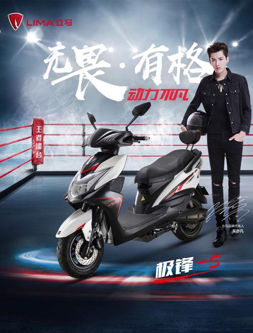 立马电动车 极锋-s新款电动车两轮电动车电瓶车成人72v可选