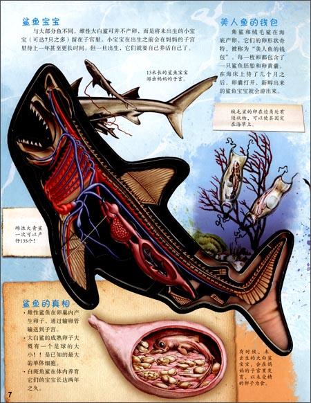 回至 有趣的透视立体书:透视奇妙的鲨鱼 (平装)