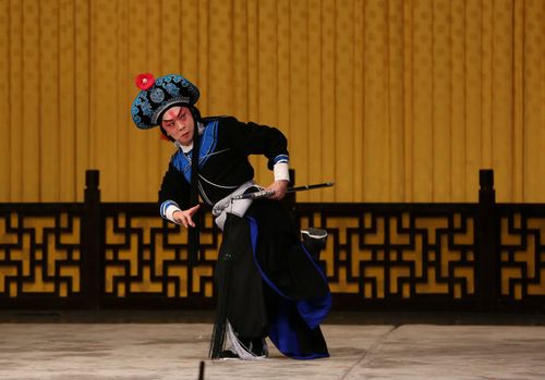 京剧林冲夜奔王立军张艺严饰演林冲