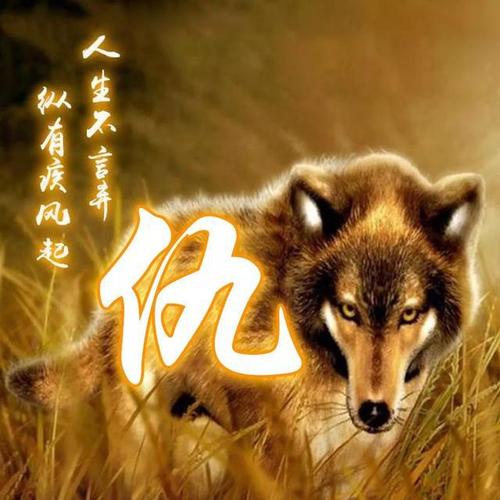 100张血性狼姓氏头像送给在困境中坚持梦想的你