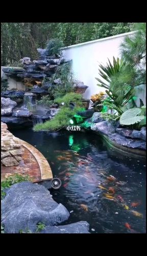别墅庭院山水景观设计施工 私家花园鱼池_别墅_庭院_上海攻略_装修