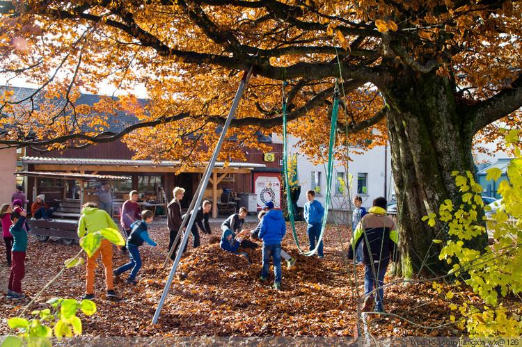 大树下玩耍的孩子们