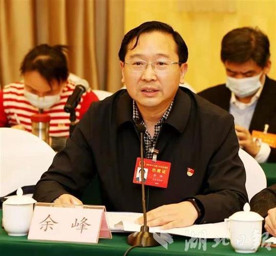 "1月26日,省人大代表,枝江市市长余峰