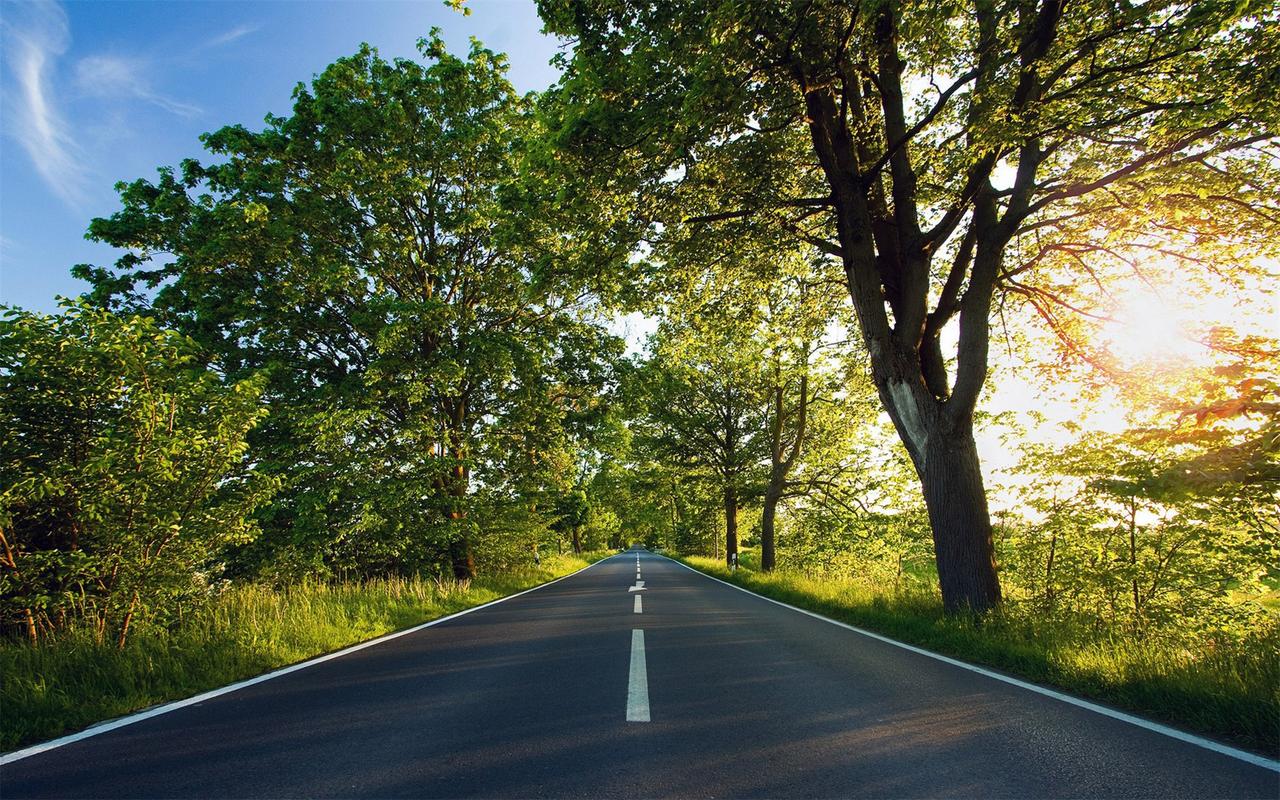 首页 桌面壁纸 风景壁纸 清新树林绿色马路唯美意境高清电脑壁纸图片