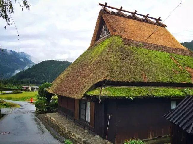 这些被保存下来大大小小的茅草屋,多半兴建于江户时代中末期,其中最