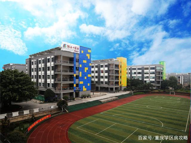 南岸区优质学校!弹子石小学家族及划片范围盘点