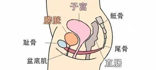 但于女士的b超影像,  子宫附件和直肠都"消失"了,只看得到"一肚子水"