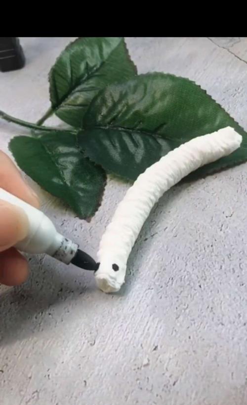 爱在进行时"———科学小实验《有趣的毛毛虫》
