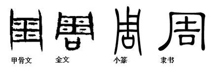 周字的甲骨文,金文,隶文
