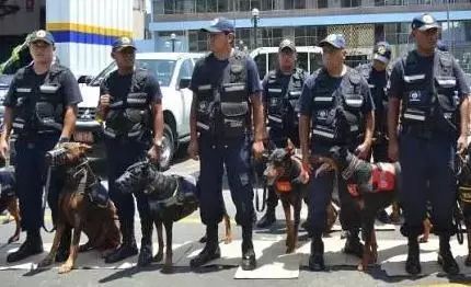 警犬换杜宾,城市形象爆升,真是帅的不要不要的