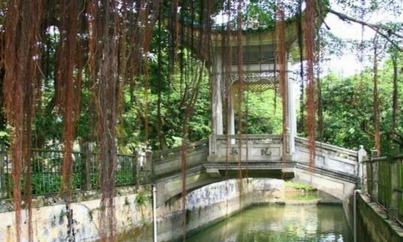 开平立园(4a)
