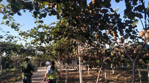 探访章丘古村(一)~~相公街道桑园村