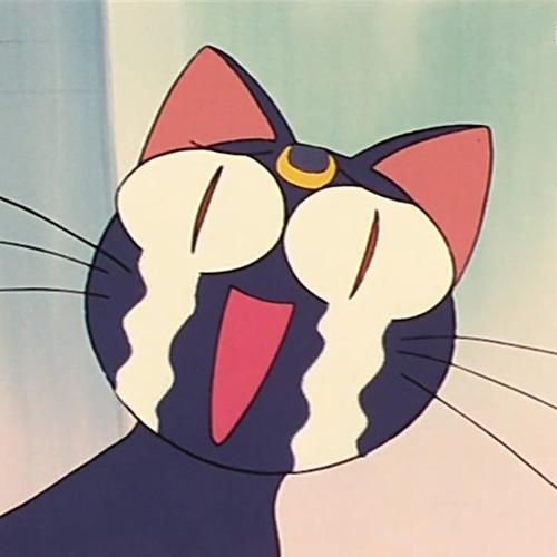 美少女战士 露娜 自截头像