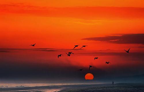 请问大家,可不可以给我一张夕阳西下的图片,快急,谢谢