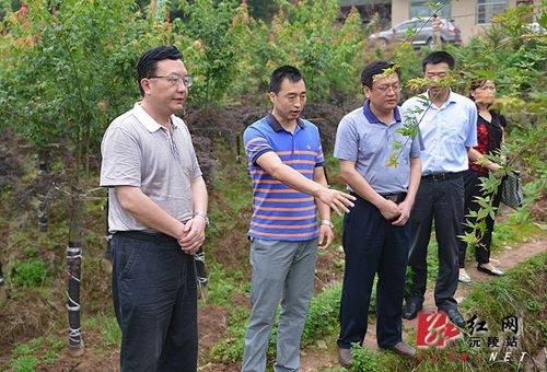 沅陵县委书记刘志良深入官庄镇调研建整扶贫工作