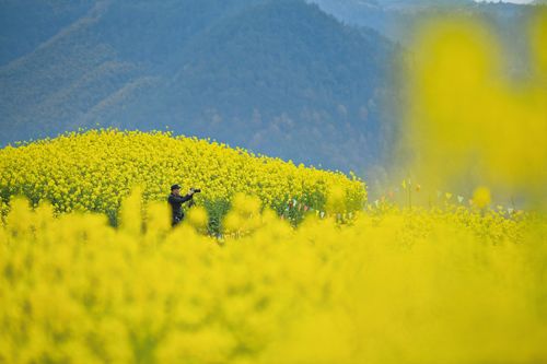 把春天带回家