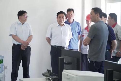 智慧能源"奥德样板"奥德集团董事局主席林凡连调研奥德圣凯项目