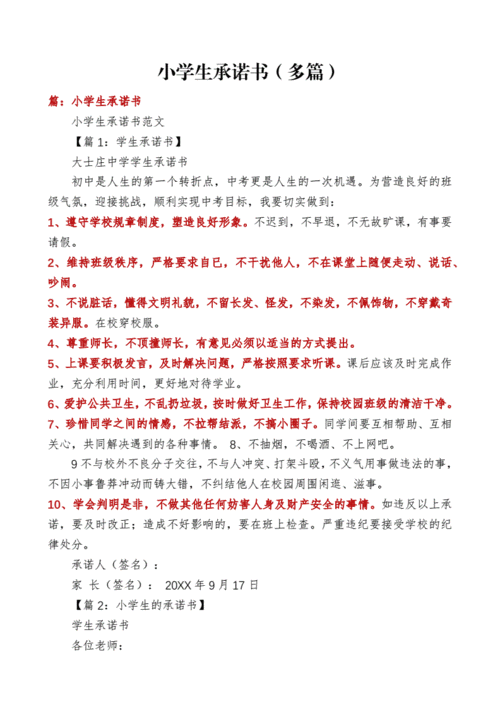 小学生承诺书(多篇).docx 11页