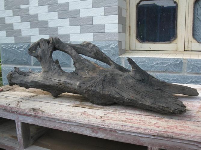 哪儿有阴沉木拍卖公司