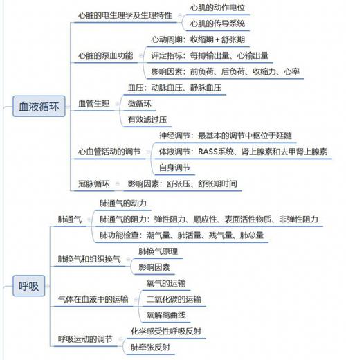 「生理学」思维导图～_思维导图_运动_医学生_代谢_教育_教育其他