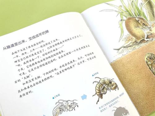 小昆虫也有大世界,孩子必读的《昆虫记》就选这本!