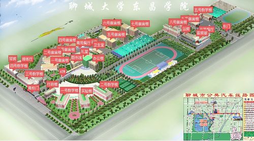 要重新规划聊城大学东昌学院有什么建议吗?