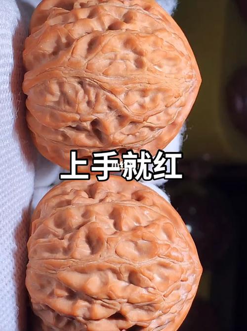纯野生金牛狮子头_金牛座_狮子头_兴趣爱好_兴趣爱好