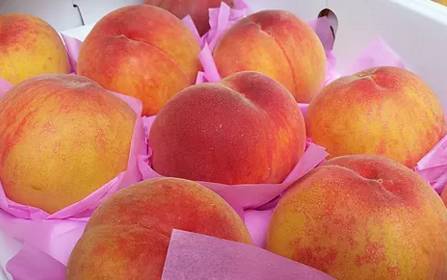 同果不同命鲜桃价格起伏巨大最低不足每斤1元最高每斤25元