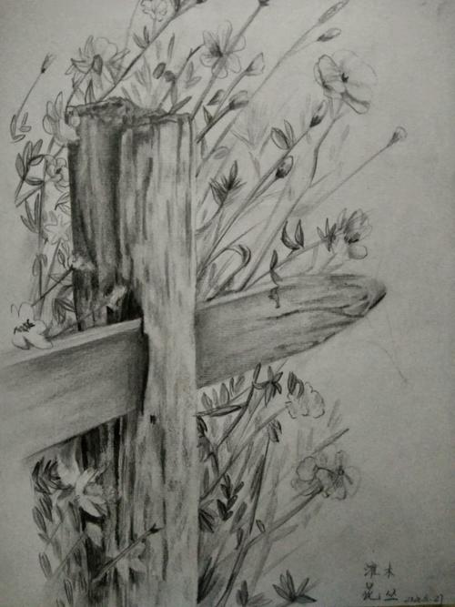 随便画画,灌木花丛,素描书上的,20.6.28