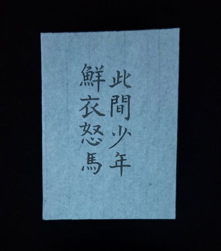 3.13 鲜衣怒马此间少年