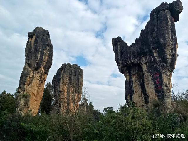 所以,这片石林俗称"黑石林"