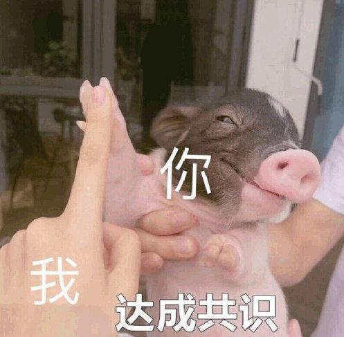 表情包:我十几岁我好累