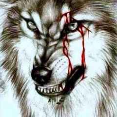 血狼图片霸气图手机壁纸