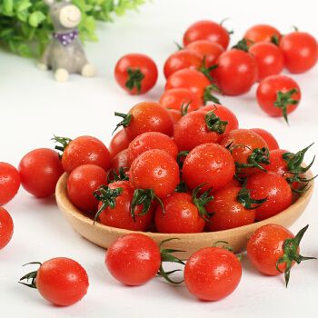 海南新鲜小西红柿番茄圣女果千禧果水果2斤