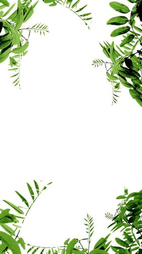 关键词 : 文艺,小清新,绿色,叶子,简约,h5背景,h5,h5
