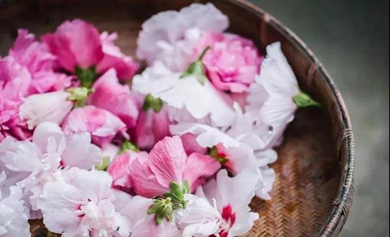 看古人如何吃花——教你做一个合格的吃花群众