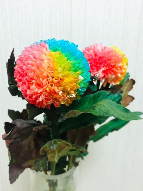 乒乓球_鲜花_永生花